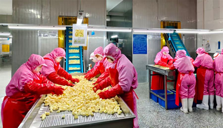 Automated packaging workshop