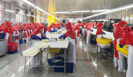 Raw material processing workshop