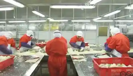 原料加工车间